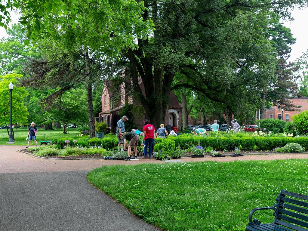 Volunteer-tended flower beds in Schiller Park in spring